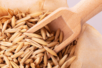 Wall Mural - oat grains in a wooden spoon on the background of scattered oat grains