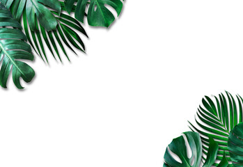 Wall Mural - tropical leaves on white background