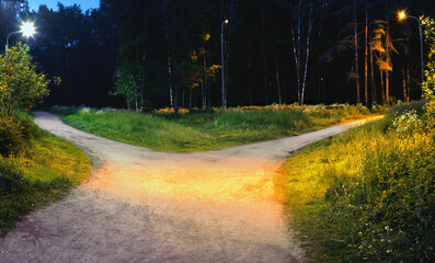 Wall Mural - One alley in the park at night is divided into two hiking trails, diverging in different directions, illuminated by electric lights