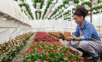 Wall Mural - Smart technology hydroponics and work in greenhouse. Woman in smartwatch sits near flowers in orangery