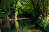 Fototapeta Pomosty - Grand Morin river in La Celle-sur-Morin village