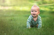 © Michaela - nine month baby crawl on all fours on green grass and smile, banner copy space, kid connect with the nature