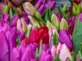 Fototapeta Tulipany - Tulips in buckets at a Farmers Market in San Francisco