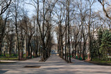Fototapeta Sawanna - View of the city park in early spring.