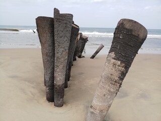 old wood on beach