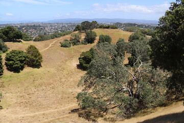 Wall Mural - Colline Maungakiekie, parc Cornwall à Auckland, Nouvelle Zélande	