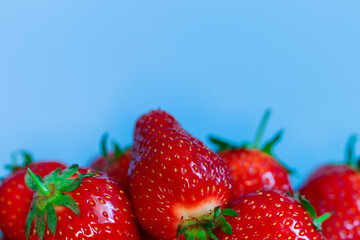 Ripe, juicy, delicious strawberry close-up on a blue background. Free space for text