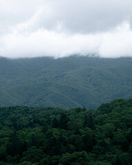 Wall Mural - 積丹半島の雲と森林（Shakotan Peninsula clouds and forests）