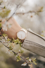 Wall Mural - Beautiful classic stylish watch on woman hand