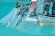 © paspas - Net fishing in Rodrigues island. Opening of the fishing season on the first of March 2017