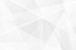 © Yuriy - Abstract white and grey on light silver background modern design. Vector illustration EPS 10.