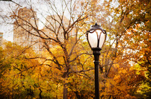 Lamp Post Detail In Central Park In Autumn, New York City