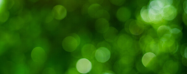 Wall Mural - abstract circular green bokeh background, green nature spring and nature light in blurred style, copy space