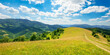 path through the meadow in mountains. sunny summer landscape of carpathian countryside. white fluffy clouds on the blue sky