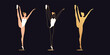 © Дмитрий Майер - Golden ballerina woman in outline style. Set of silhouette, Ballet dancer