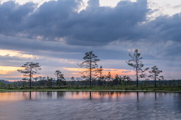 Sundown rose-pink light in raised bog. Konnu Suursoo (Korvemaa) wetland in Estonia. Sunset glow over marsh hollows.  Symmetry created by reflection of trees and colorful clouds in moorland lake.
