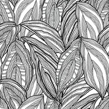 Black White Abstract Large Leaf Doodle Background Design