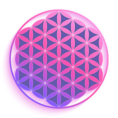 Wall Mural - Sacred geometry, flower of life. Vector illustration.