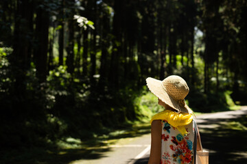 Poster - woman hiking in the forest at Xitou