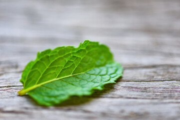 Peppermint leaf on wooden background - Fresh mint leaves nature green herbs or vegetables food