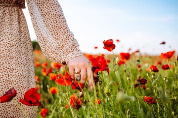 Young woman walks in the red field full of poppy flowers on the sunset. Romantic moment of a girl happy felling freedom and touches the flowers. Love and tenderness concept.