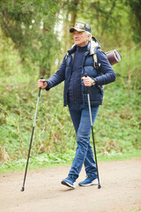 Wall Mural - full length portrait of active senior man enjoying nordic walking with poles during hike in forest