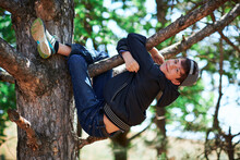 Teenage Boy Playing Outdoor, Climbing A Tree, Bright Sunlight, Beautiful Day