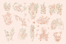 Set Of Vintage Floral Anatomy Elements In One Line. Human Skeleton And Inner Organs With Flowers And Leaves. Editable Vector Illustration.