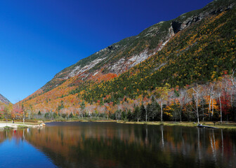 Wall Mural - Foliage of White Mountain, New Hampshire, USA