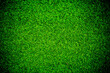 © waranyu - green grass background, football field