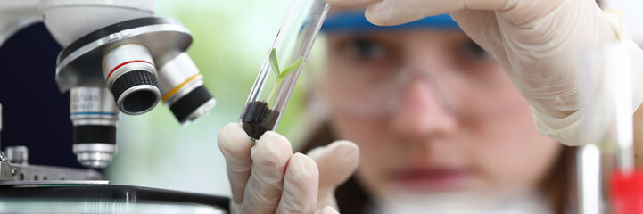 Wall Mural - Close-up of scientist looking at tube with interest and concentration. Growth sprig taking flask for sample analysis. Shoot beginning new life. Botany and ecology concept