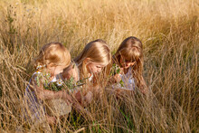Three Fair-haired Little Girls Crouched In The Tall Grass Of The Clearing. They Look At Something And Talk