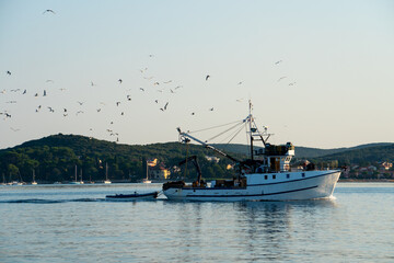 fishing boats in the harbor