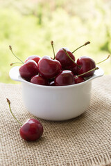Wall Mural - Red cherries in the white bowl on a sackcloth on the background of greenery. Closeup.