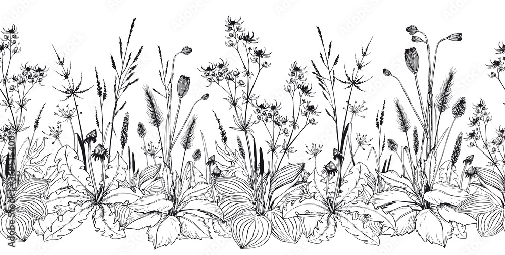 Seamless horizontal background with wild herbs and flowers. - obrazy, fototapety, plakaty 