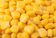 Yellow Grain Corn Background Texture