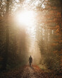 © Giovanna Graf - man walking in the autumn woods