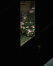 Window And Flowers At Night 