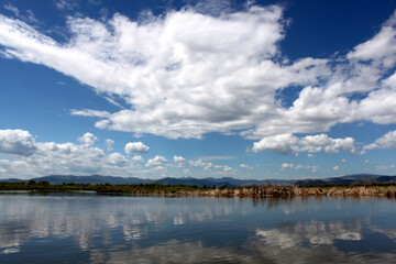 Wall Mural - Lake scene in Montana with reflections of dynamic blue skies with clouds