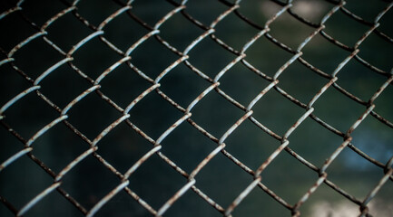  Old metal mesh closeup. Trellised fence. Beautiful background. Peeling paint. High quality photo