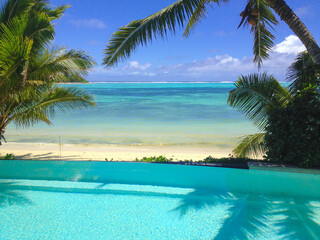 tropical beach with palm trees