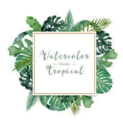 Wall Mural - Adorable floral exotic horizontal square frame with pink flowers, tropical leaves. Hand drawn watercolor isolated illustration on white background