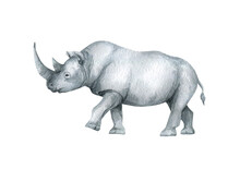 Watercolor Rhinoceros. Wild African Animal. Savannah Rino For Posters, Card, Decoration, Scrapbooking. Exotic Animal.