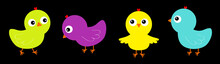 Bird Icon Set Line. Colorful Chicken Chick. Cute Cartoon Funny Kawaii Baby Character. Face Head. Happy Easter. Friends Forever. Greeting Card. Flat Design. Black Background. Isolated.