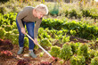 © JackF - Mature woman gardening with hoe