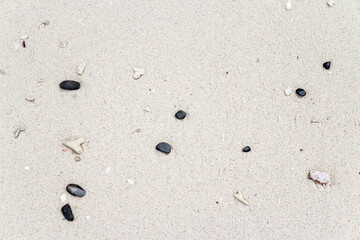 Sea beach sand with coral texture background