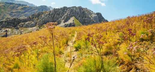 Sticker - Chimgan mountains