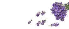 Little Bouquet Of Lavender And Flowers Scattered  On White Background