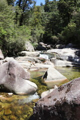 Sticker - Rochers sur une rivière du parc Abel Tasman, Nouvelle Zélande	