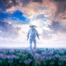 Stepping Into Dreams / 3D Illustration Of Surreal Science Fiction Scene With Lone Astronaut Walking Through Field Of Flowers Under Glorious Sky